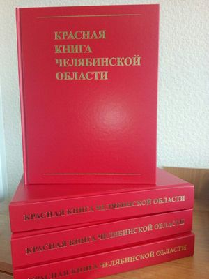 Выставка «Красная книга: современная драма»
